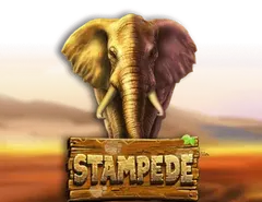Slots